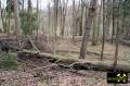 Eisensteingrube Windhain bei Bernsfeld, Gemeinde Mücke, Vogelsberg, Hessen, (D) (11) 22. April 2016.JPG